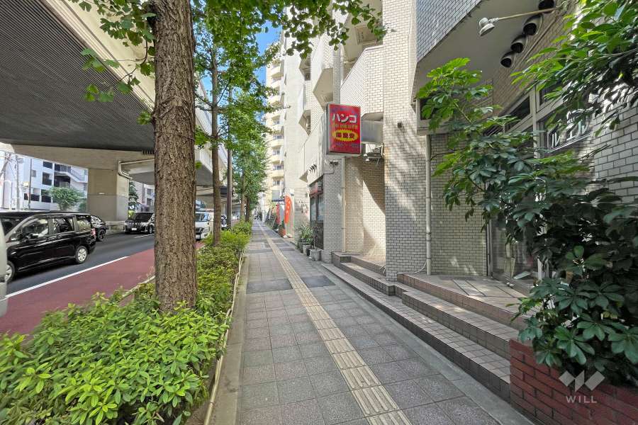 敷地南東側の前面道路（北東側から）