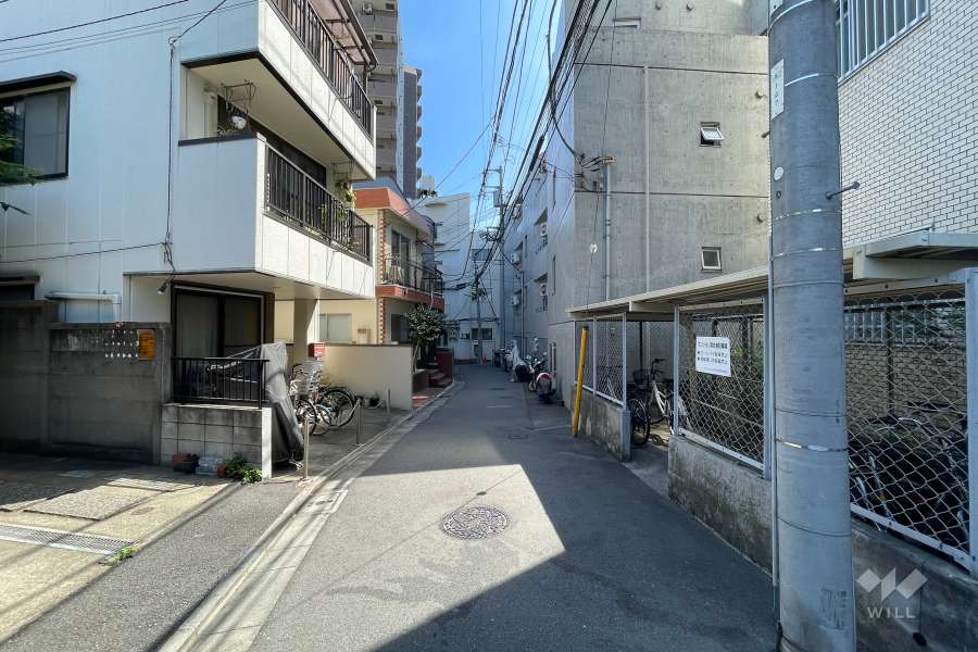 敷地北側の前面道路（南西側から）