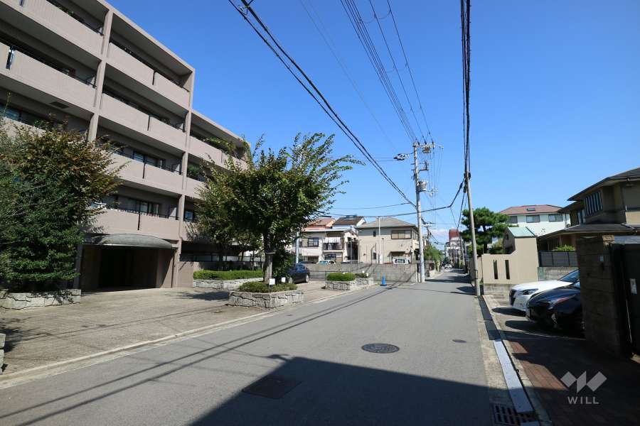 敷地南側の前面道路