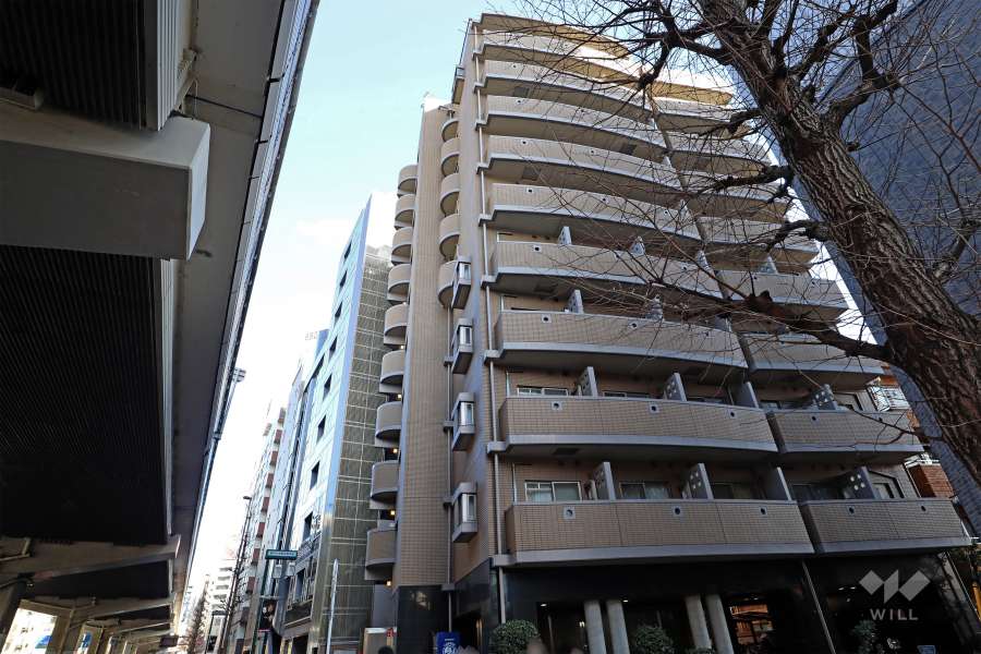 菱和パレス駒沢大学駅前の外観(西側から)