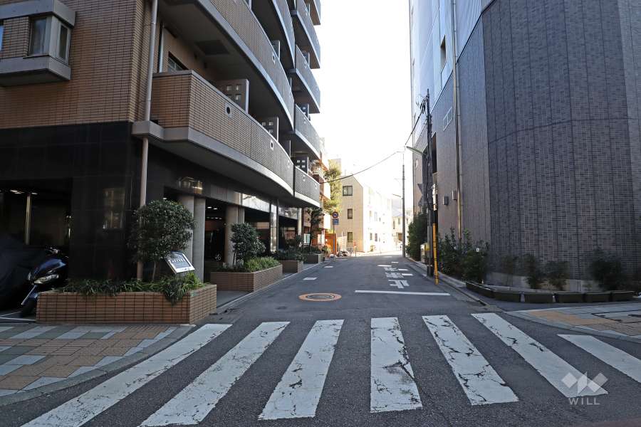 敷地西側の前面道路(北側から)