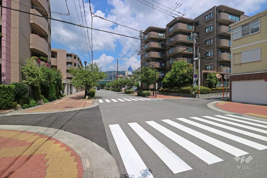 敷地西側の前面道路