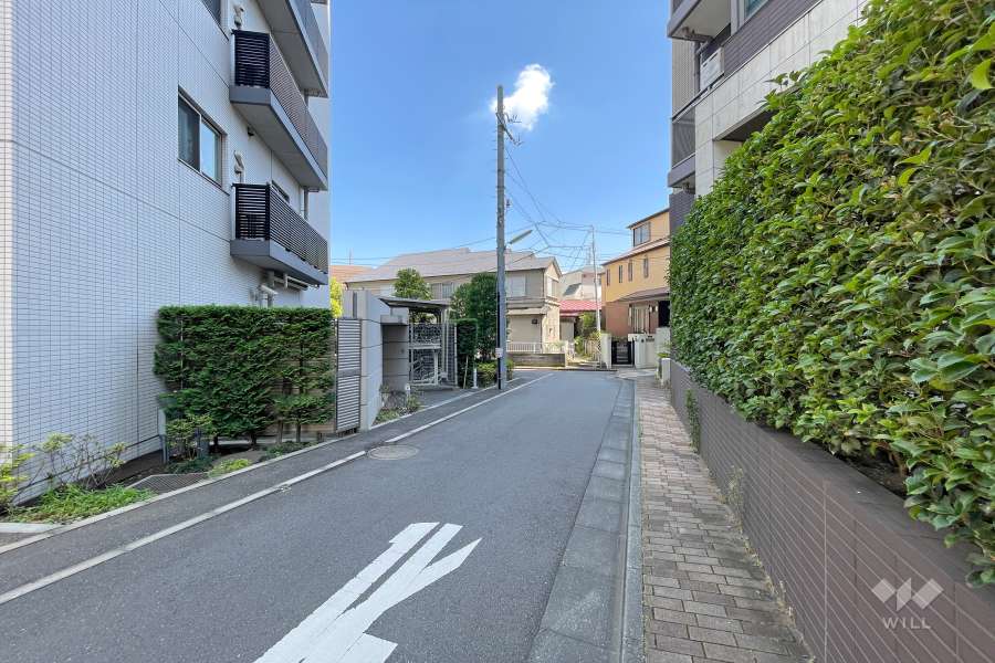 敷地南西側の前面道路