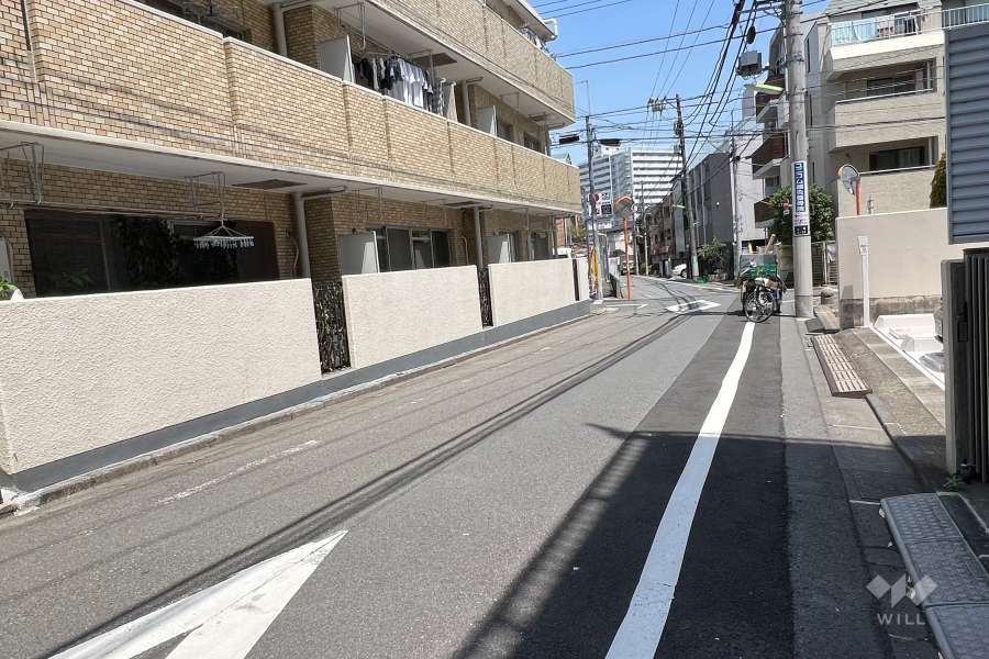 敷地南側の前面道路(西側から)
