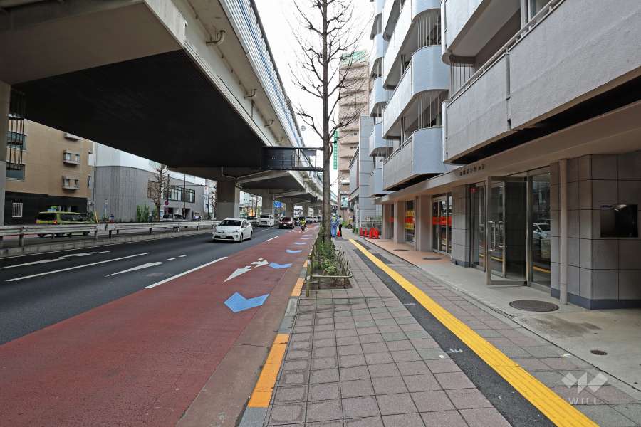 敷地南西側の前面道路（北東側から）