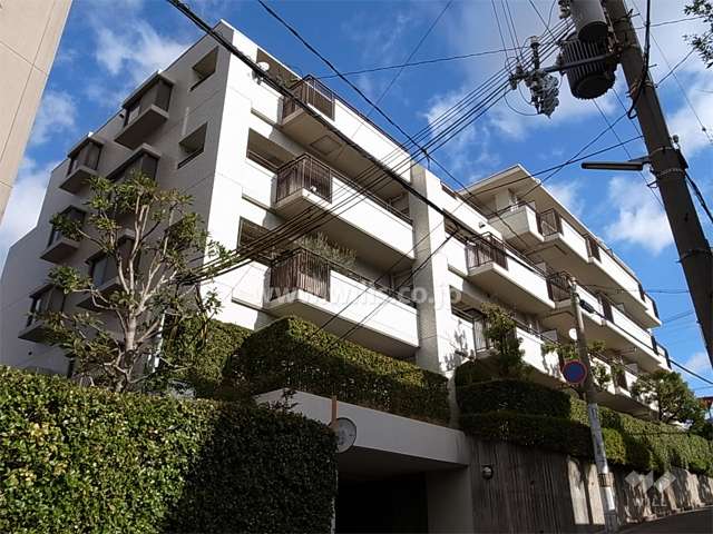 日興芦屋川スカイマンションの外観（南西側から）