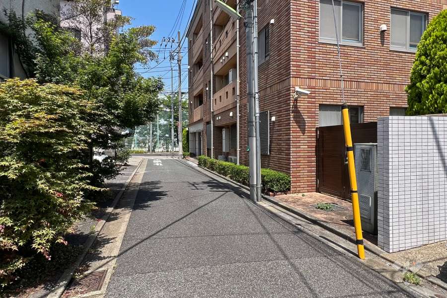 敷地西側の前面道路(南側から)