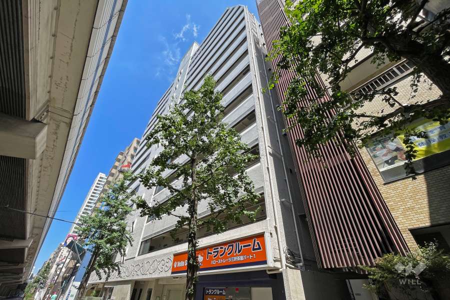 シャンボール上馬の外観（南西側から）