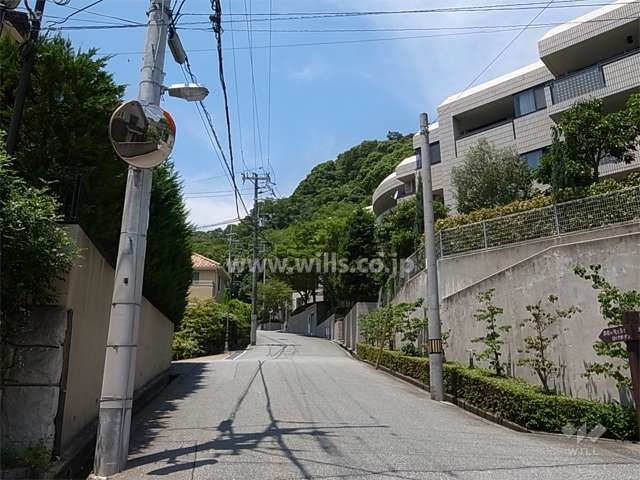 敷地西側の前面道路。先へ進むとロックガーデンに続いています。