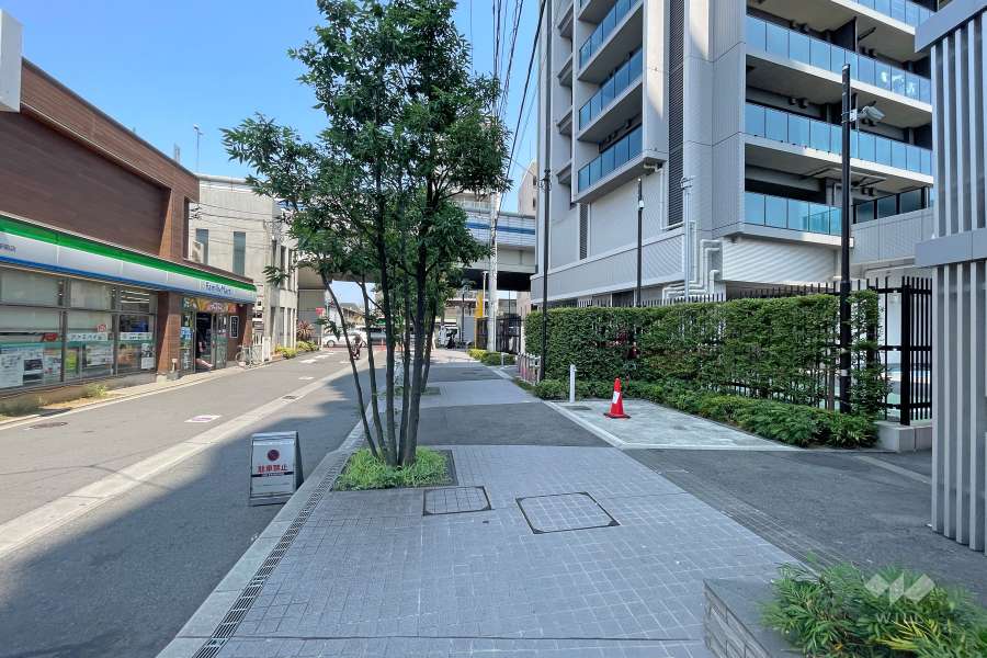 敷地西側の前面道路（南側から）