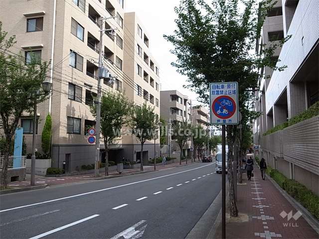 敷地南側のバス通り。歩道があり、街路樹がきれいです。