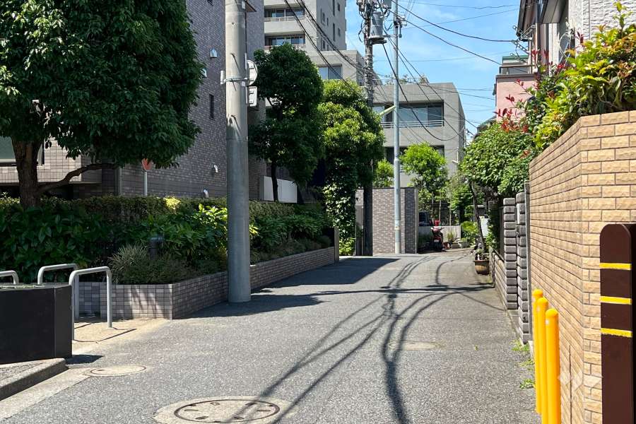 敷地の東側前面道路(南東側から)