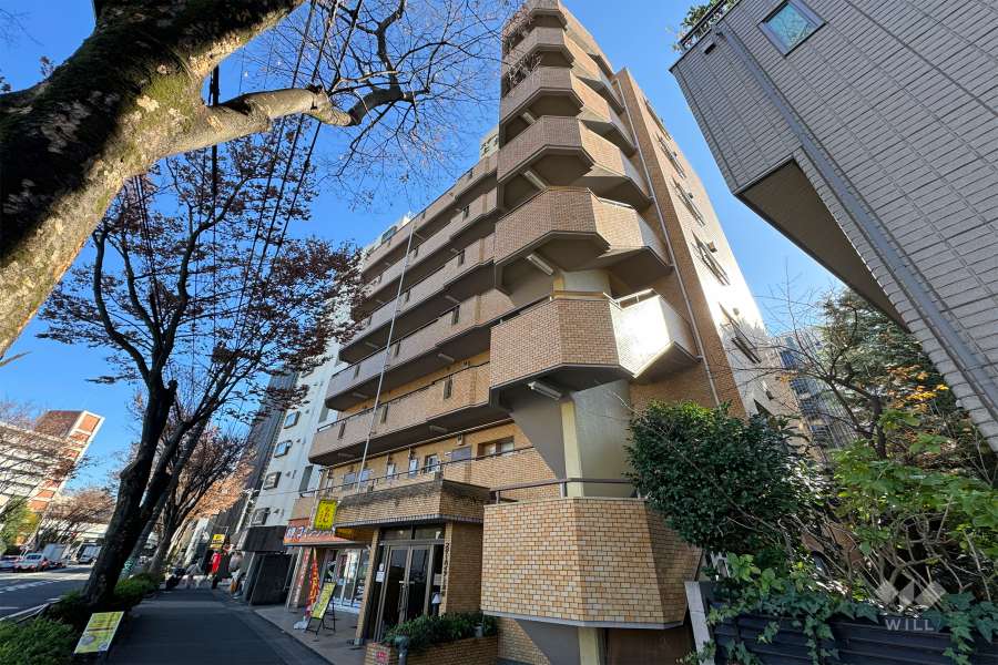 スターハイツ上北沢の外観（北西側から）