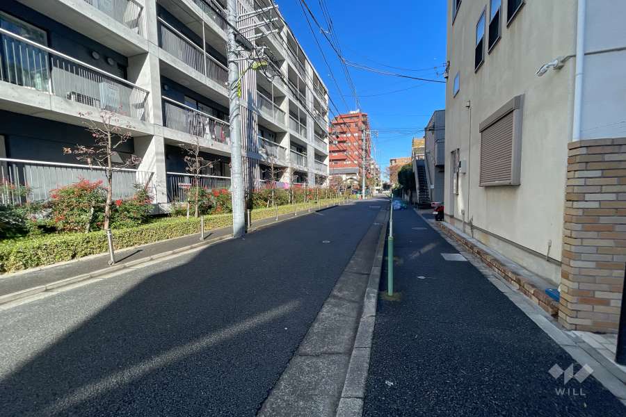 敷地西側の前面道路（北側から）