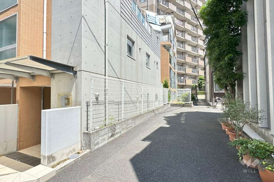 敷地南側の前面道路（西側から）