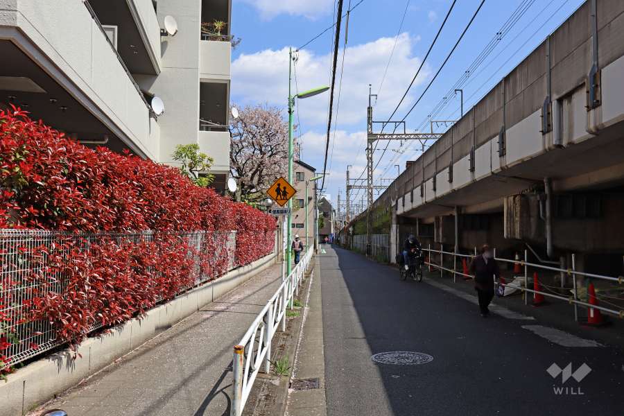 敷地南側の前面道路（西側から）