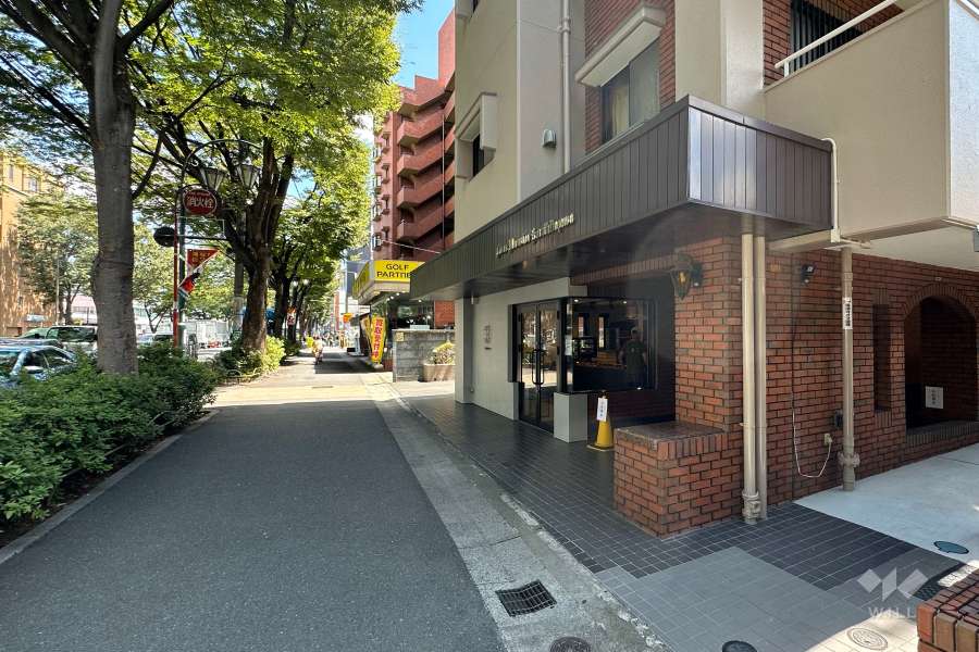 敷地の北側前面道路（西側から）