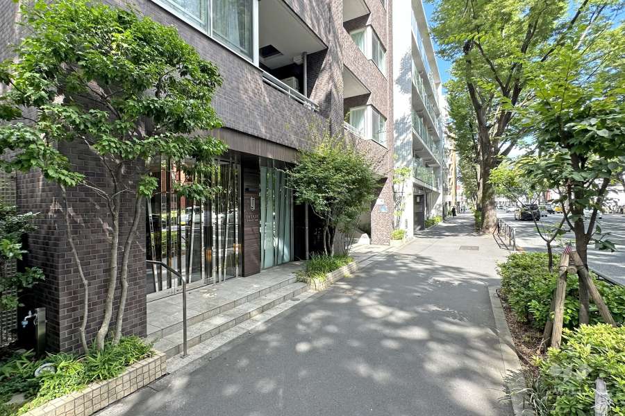 敷地南側の前面道路