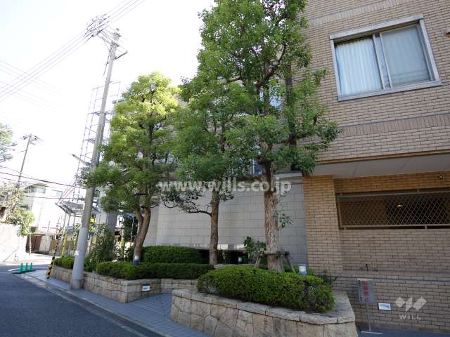 敷地北側の植栽スペース