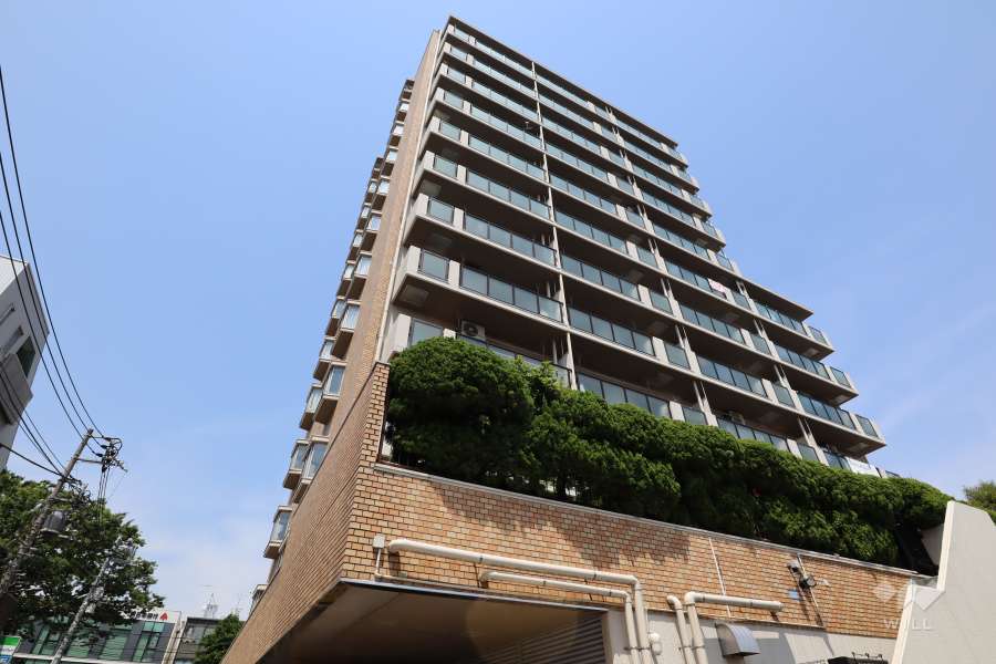 八幡山ビューグリーンの外観(南西側から)