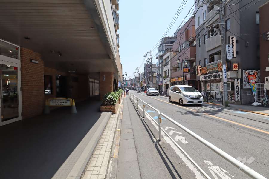 敷地西側の前面道路(北側から)