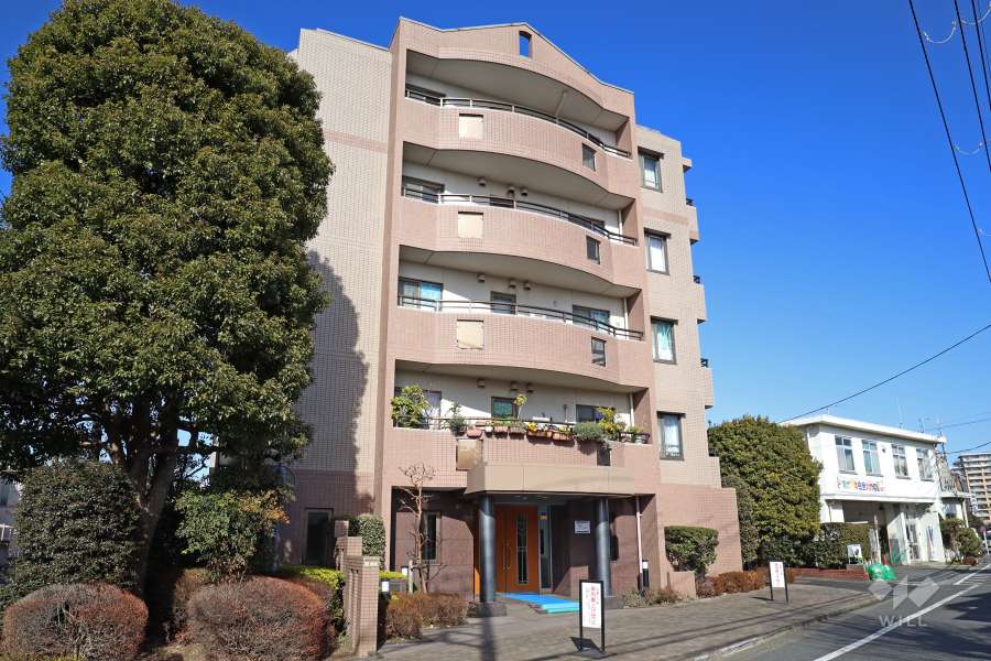 桜上水ハイムの外観（南西側から）