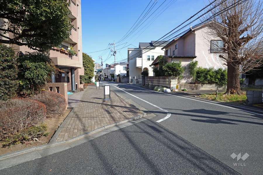 敷地南側の前面道路（西側から）