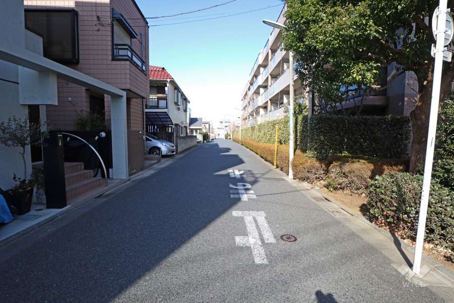 敷地西側の前面道路（南側から）