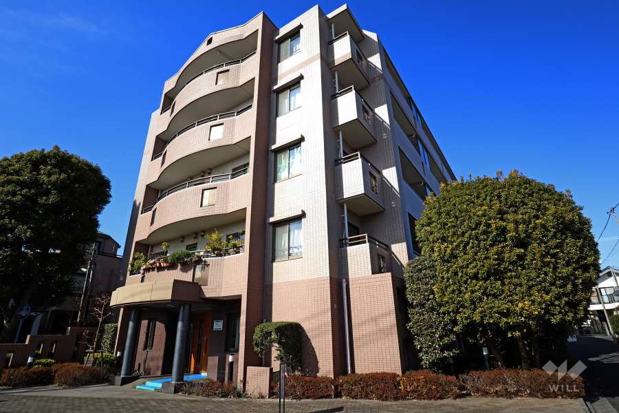 桜上水ハイムの外観（南東側から）