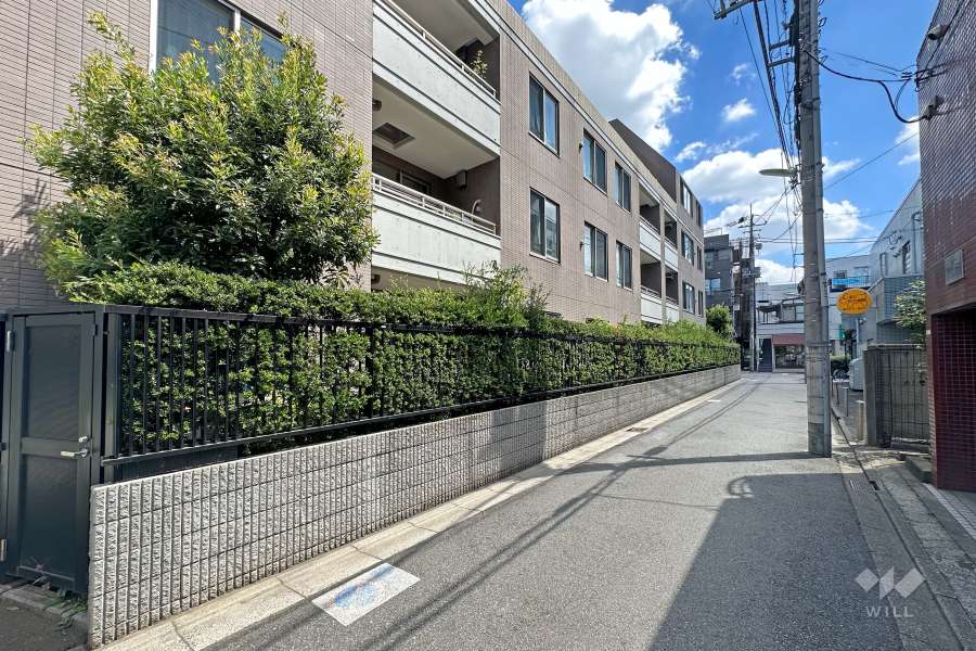 敷地南側の前面道路（西側から）