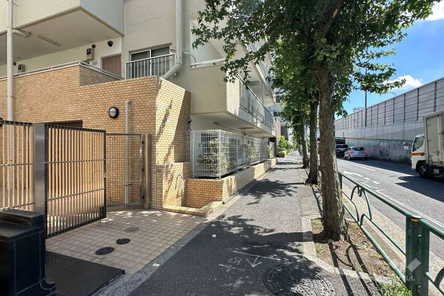 敷地の西側前面道路（北側から）