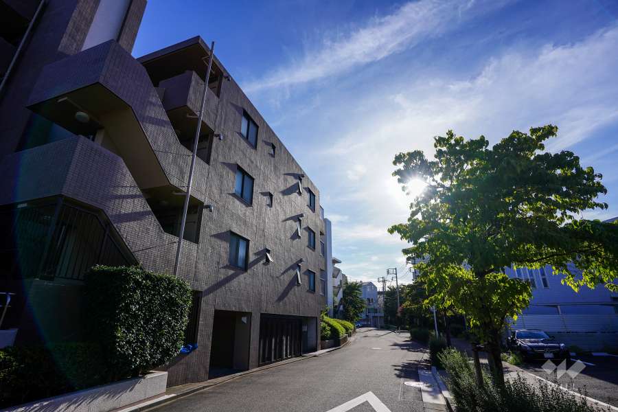 敷地北側の前面道路（東側から）