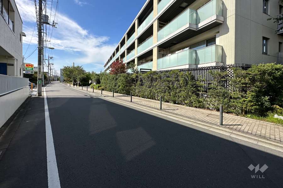 敷地南東側の前面道路（北東側から）