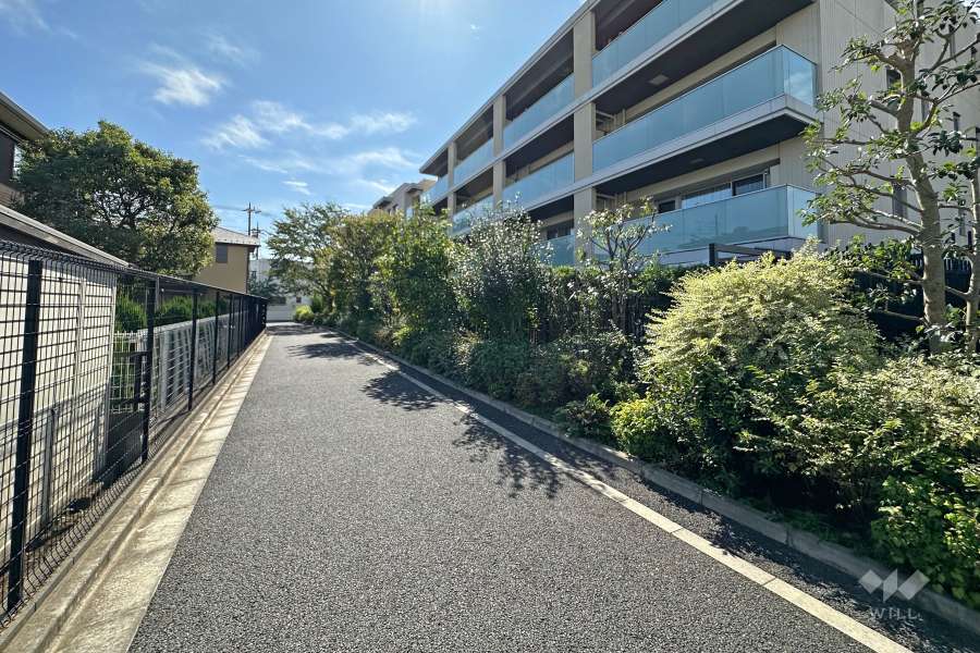 敷地東側の前面道路（北側から）