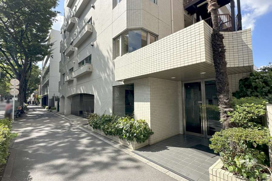 敷地南側の前面道路