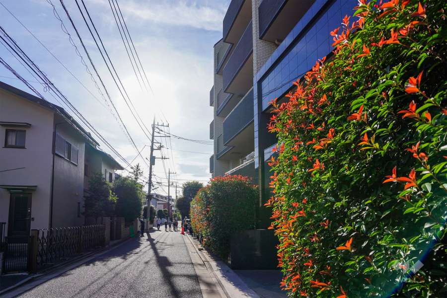 敷地南側の前面道路（東側から）