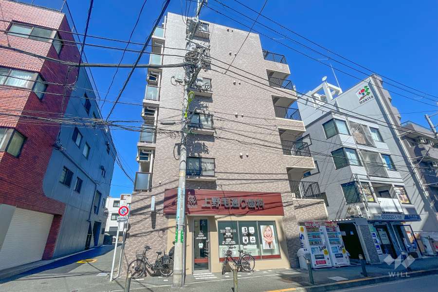 ライオンズプラザ上野毛の外観（南西側から）