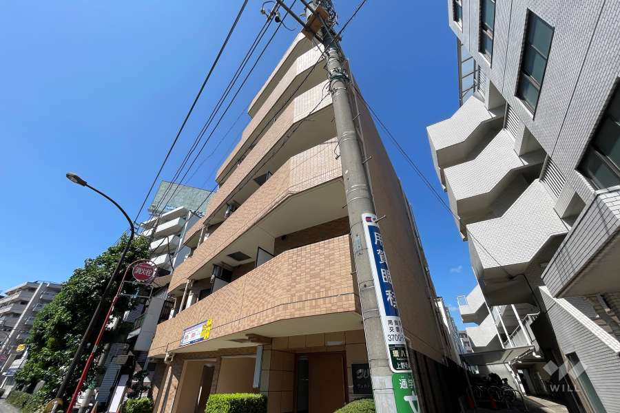 ヴェルト上野毛の外観（南側から）　