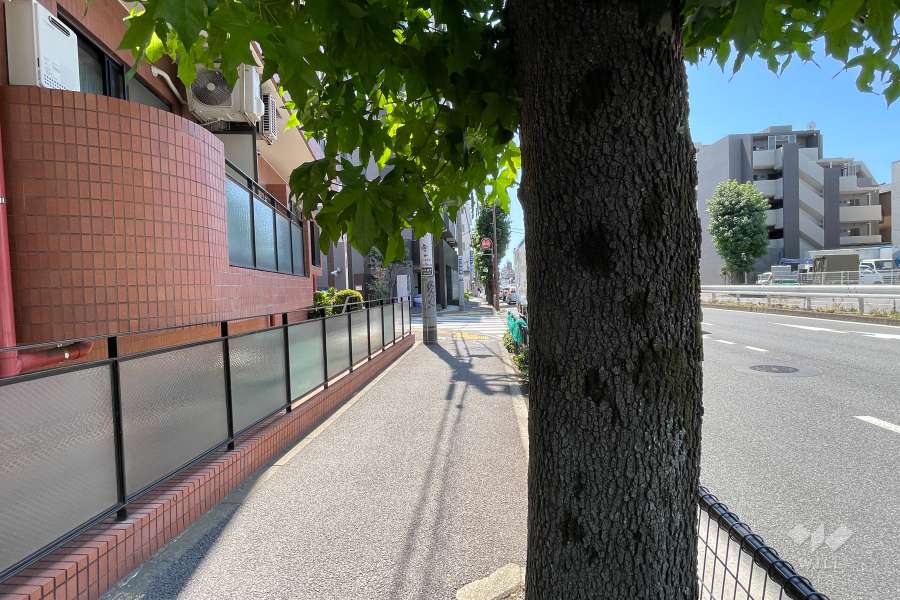 敷地西側の前面道路（北側から）