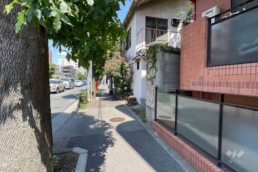敷地西側の前面道路（南側から）