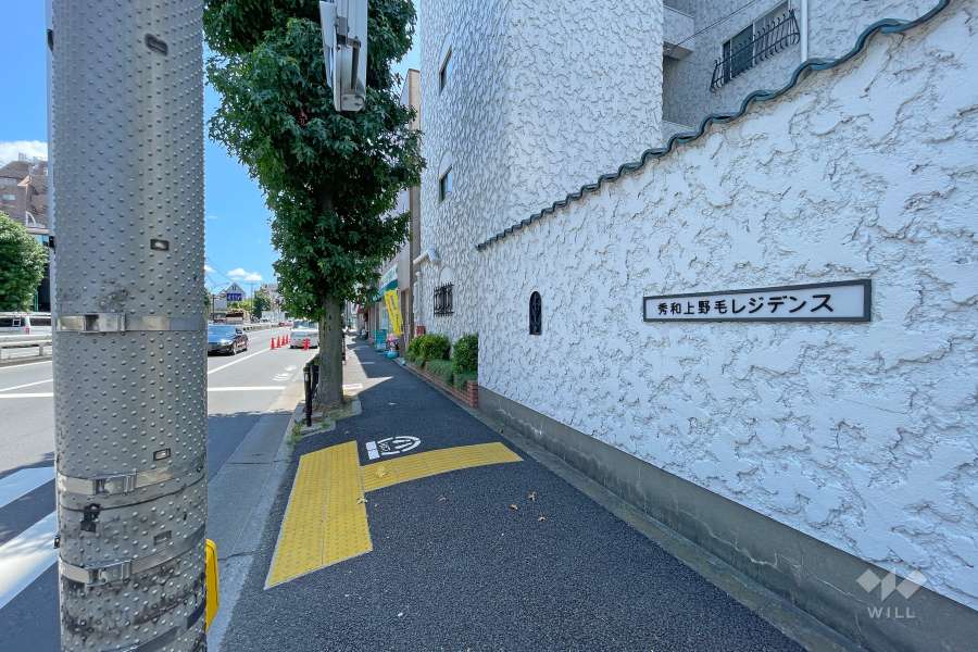 敷地東側の前面道路（北側から）