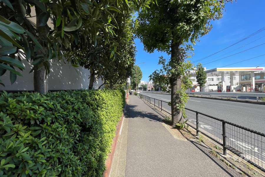 敷地東側の前面道路