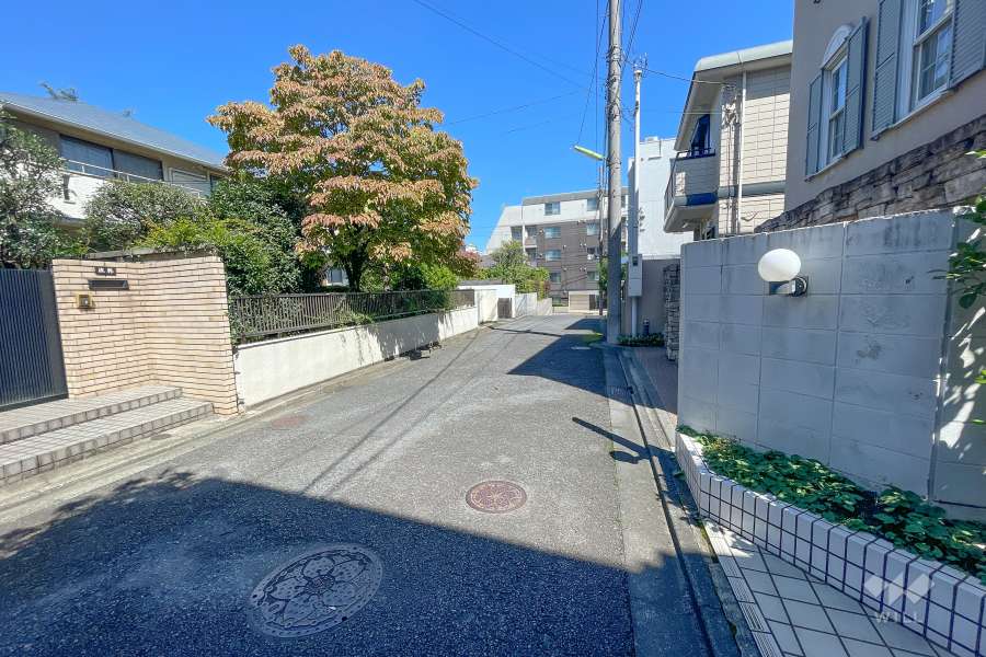 敷地北西側の前面道路（南西側から）