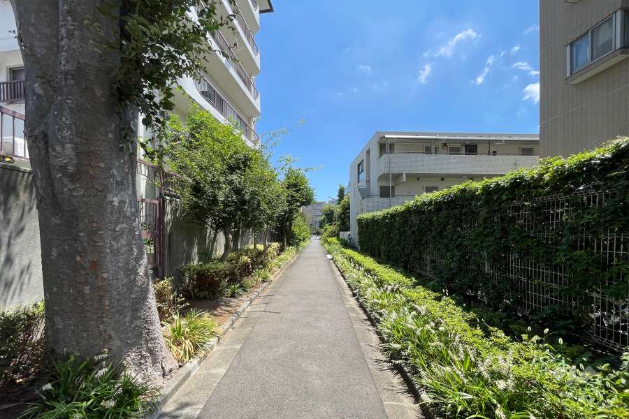 敷地西側道路。三方接道した解放感のある立地です。