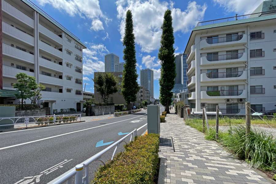 敷地北側前面道路は駒沢通りです。