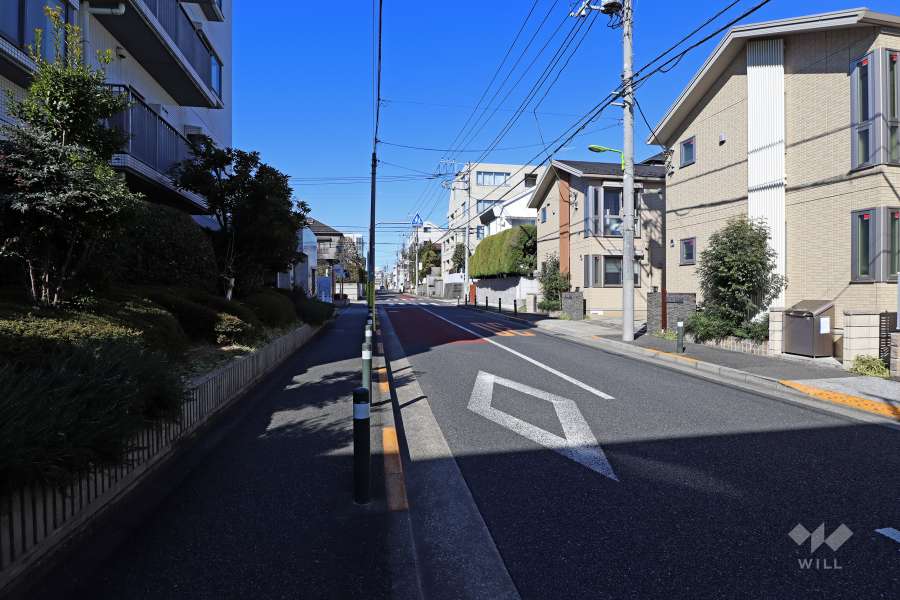 敷地北東側の前面道路（南東側から）