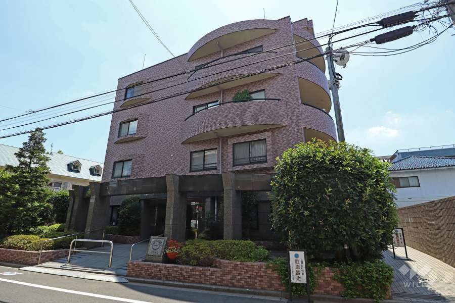 クレッセント上野毛２の外観(北西側から)