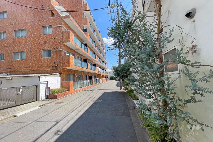 敷地南側の前面道路（西側から）