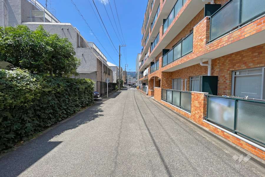 敷地南側の前面道路（東側から）