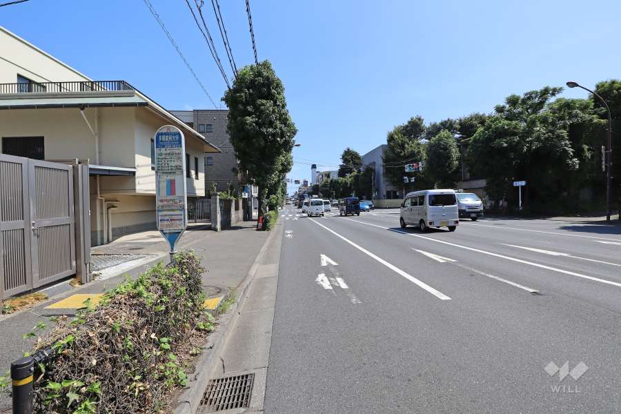 敷地西側の前面道路